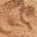 Small Coin Leaf Eucalyptus, 200 Seeds