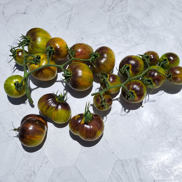 201 Gohua Lightning Tomato, 5 Seeds