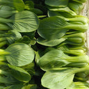 Qingjiang Sweet Pak Choi Seeds, 20g