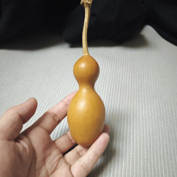 Small Bottle Gourd, 10 Seeds