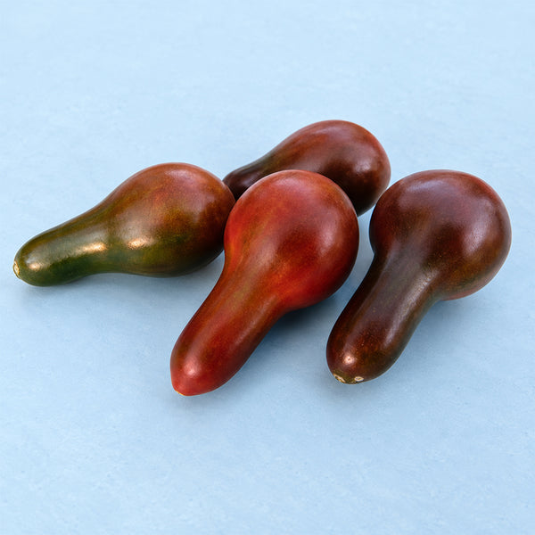 135 Cafe Bule Tomato, 5 Seeds