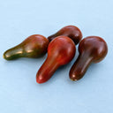 135 Cafe Bule Tomato, 5 Seeds