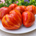 395 Dwarf Stony Brook Heart Tomato, 5 Seeds