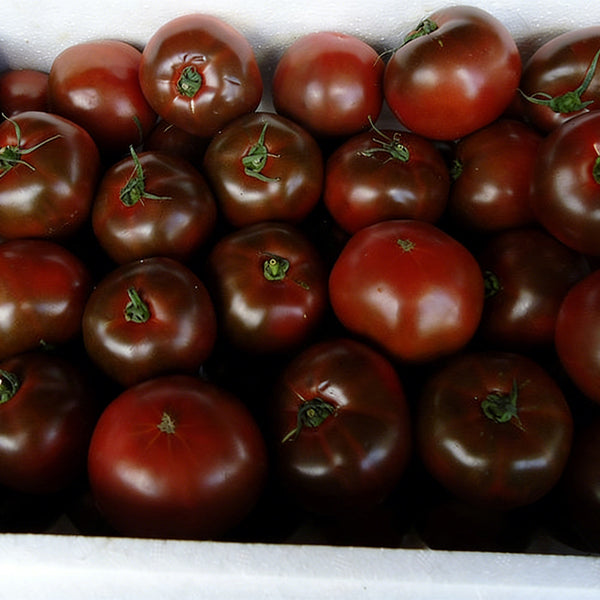 Chocolate Tomato, 100 Seeds