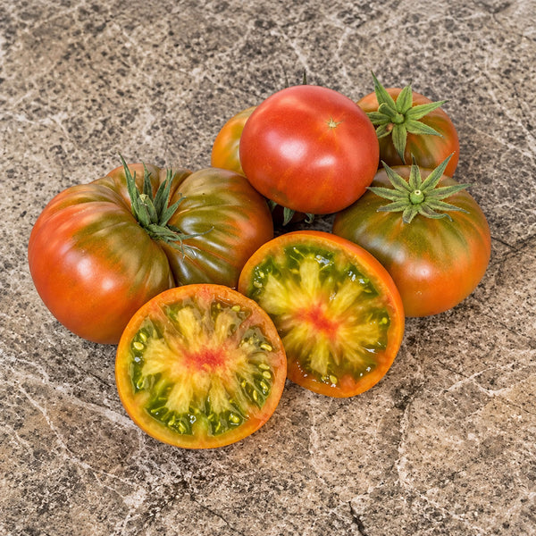 237 Dwarf Copperhead Tomato, 5 Seeds