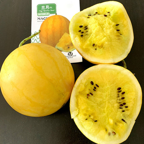 'Golden Baby' Watermelon Seeds