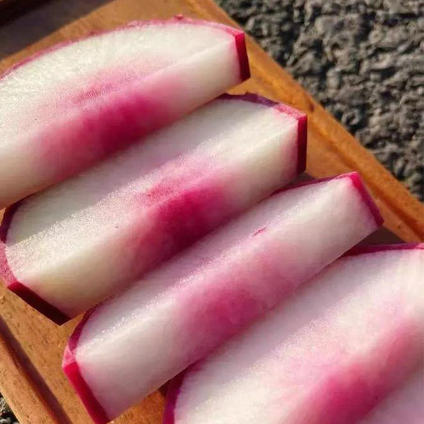 Ice Cream Radish Seeds, 50 Seeds