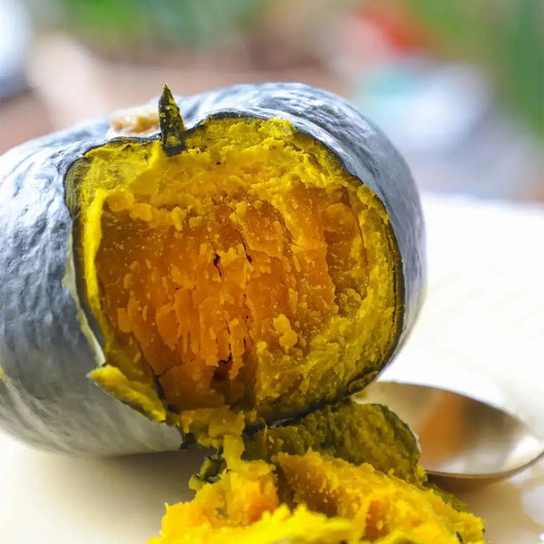 Tianbei No.6 Pumpkin, 50 Seeds