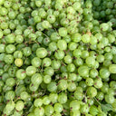 Green Gooseberry, 10 Seeds