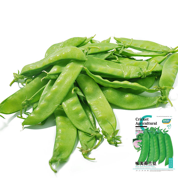 Large-Pod Snow Pea Seeds, 50g