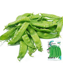 Large-Pod Snow Pea Seeds, 50g