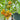 Dean's Chickie Cherry Tomato Seeds, 5 Seeds