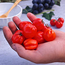 Accordion Cherry Tomato, 5 Seeds