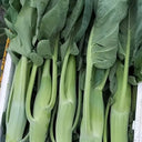 'Jiemei Jinmei Zhonghua' Chinese Kale Seeds, 20g