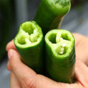 Lameizi Chili Pepper Seeds, 1g
