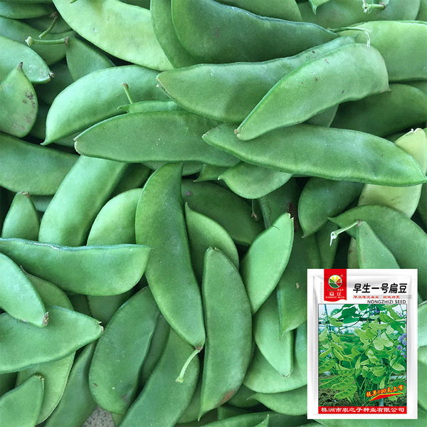Early-maturing No.1 Hyacinth Bean Seeds, 10g
