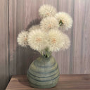 Giant Dandelion (Tragopogon orientalis), 10 Seeds