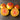 533 Honey Salute Tomato, 5 Seeds