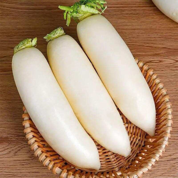 Jiujinyu White Radish Seeds, 10g