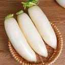 Jiujinyu White Radish Seeds, 10g