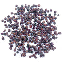 Mountain Grape, 50 Seeds