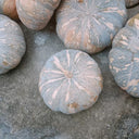 Sweet Dough Millstone Pumpkin, 10 Seeds
