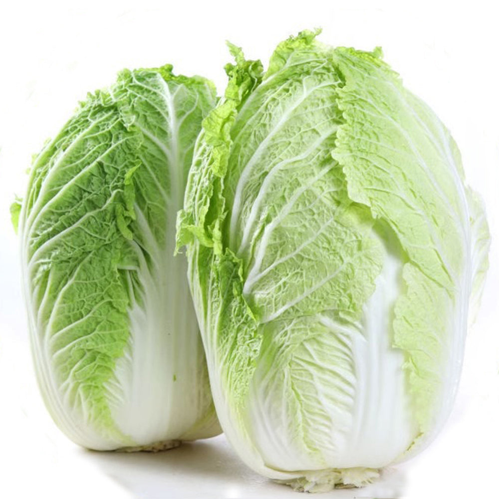 Fengkang 80 Chinese Cabbage Seeds, 5 × 3g Bags