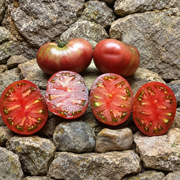 539 Frankenstein Black Tomato, 5 Seeds