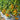 50 Yellow Romance Cherry Tomato, 3 Seeds