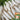 'Zao Luobo No. 13' White Radish Seeds, 20g