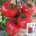 Belia Tomato Seeds, 30 Seeds