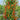 1167 2424 from Zuzi Tomato, 5 Seeds