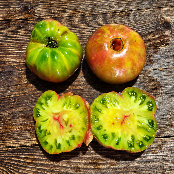 522 Kozula 203/1 Tomato, 5 Seeds