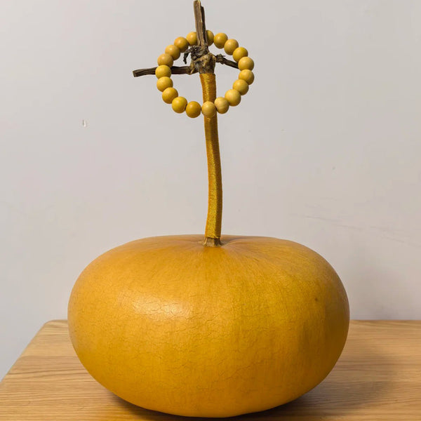 Millstone Bottle Gourd, 5 Seeds