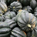 Acorn Squash, 5 Seeds