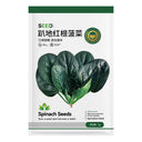 Jingyan Prostrate Red Rooted Spinach Seeds