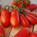 Ten Fingers of Naples Tomato, 10-15 Seeds