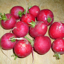 Red Cherry Radish Seeds, 10g