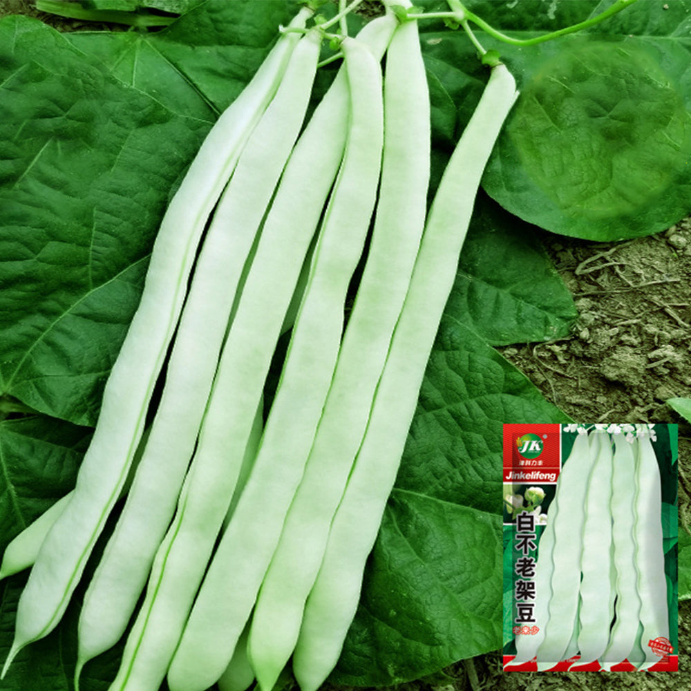 Baibulao White Kidney Bean Seeds, 10g Per Bag