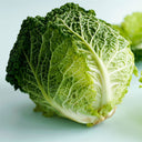 'Dongzhou No.1' Cabbage Seeds, 5g