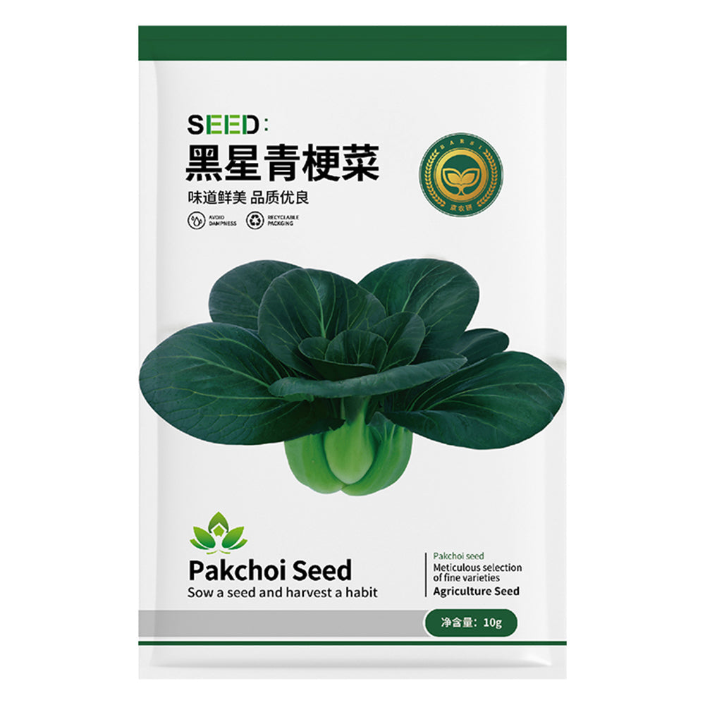 Jingyan Black Star Pak Choi, Pack of 0.35 OZ