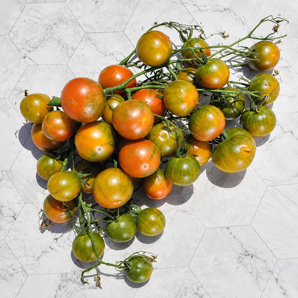68 Evil Olive Tomato, 5 Seeds
