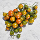 68 Evil Olive Tomato, 5 Seeds