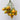 216 Smolka Beauty Multiflora Tomato, 5 Seeds