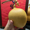 Peach Shaped Gourd, 10 Seeds