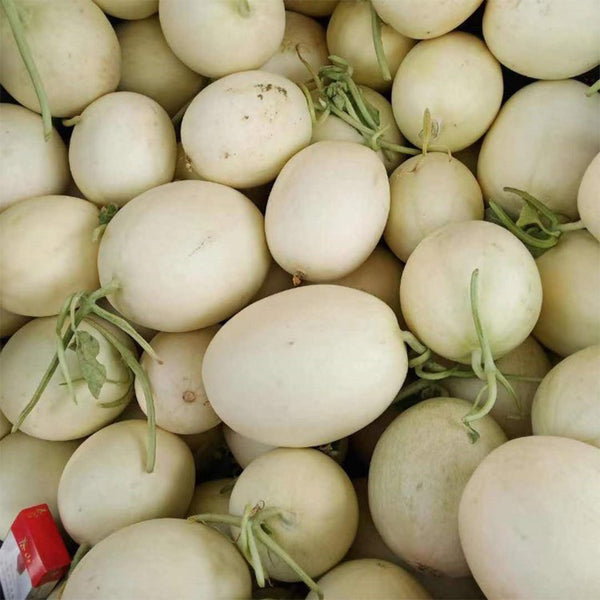 Haoyu Sweet Melon Seeds, 100 Seeds