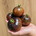56 Rebel × Marsha's Beefsteak Tomato, 5 Seeds
