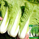 Fast Growing Pak Choi Seeds, 10g