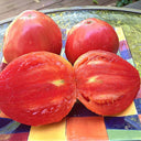 W954 Hungarian Heart Tomato, 10 Seeds