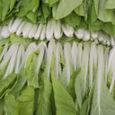 Jiemei Pak Choi Seeds, 25g